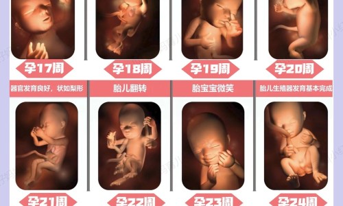 紫晶锁骨链有什么功效网 - 为你提供紫晶锁骨链有什么功效与作用、灵祥珠宝天然紫水晶锁骨项链